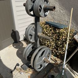 Weights/Bar/Squat Rack