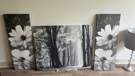 Canvas Paintings 