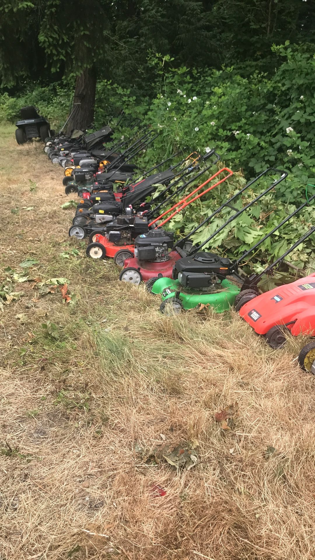 lawn Mowers