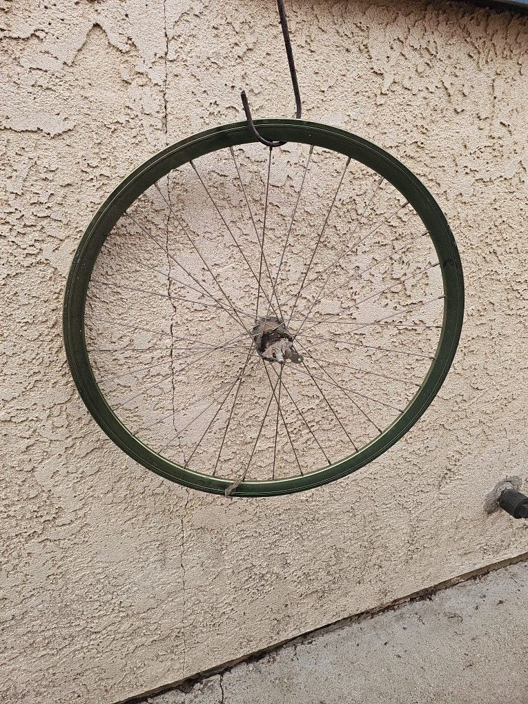 700c Rear Coaster Brake Bike Wheel