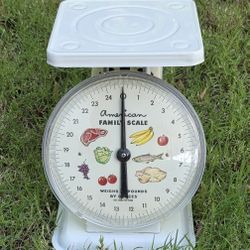 American Family Scale Vintage 1970's
