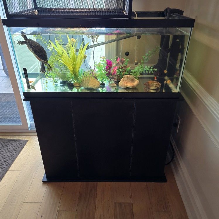 40 gallon aquarium or tank for small animal with stand and cover