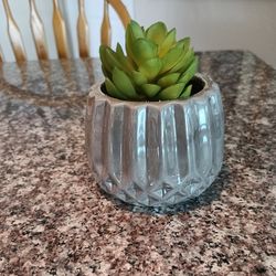 Decorative Artificial Plant 