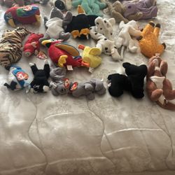 24 Beanie Babies