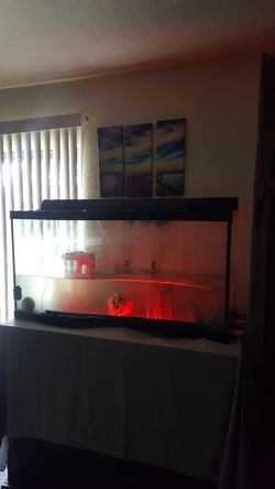 Fish tank 90 gallon aquarium
