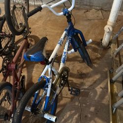 Kids 20 Inch Bike