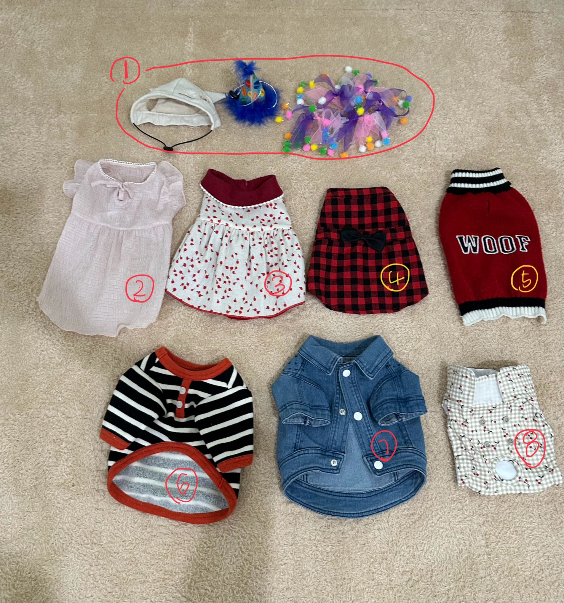 Selling Dog Clothes