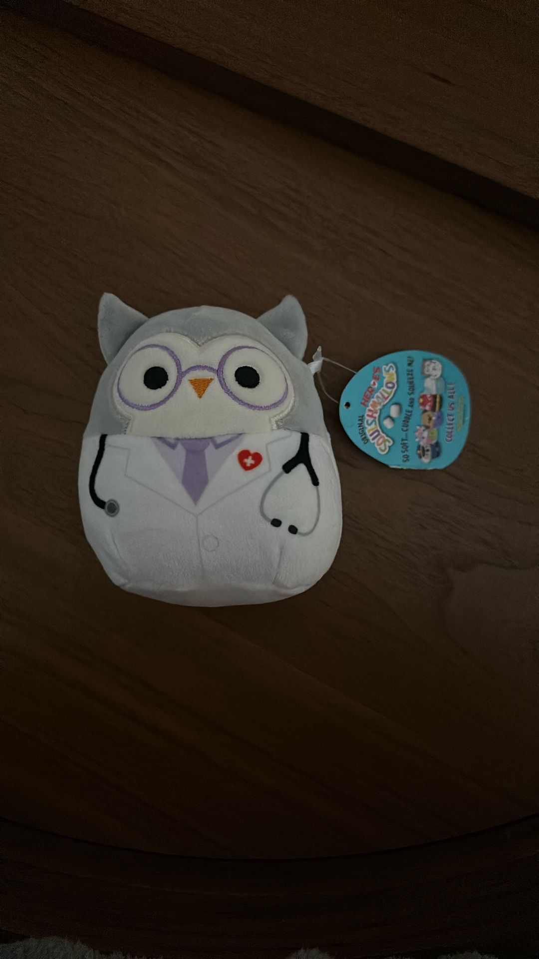 Dr. Hoot Owl Squishmallow