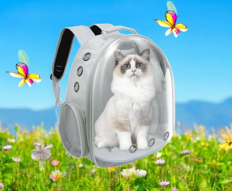 Gray-PetPack Adorable Bubble Carrying Bag for Small, medium dogs Cats, Space Capsule Pet Park, Hiking backpack, Airline Approved Travel Carrier