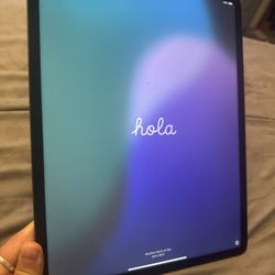 iPad Pro 12.9 Inch 5th Gen