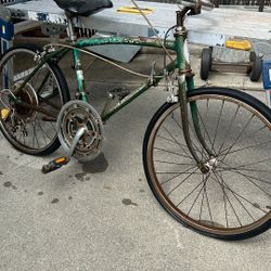 Schwinn Min 10 Speed 