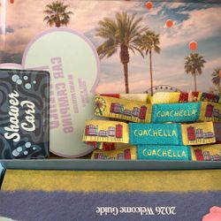 Coachella Weekend 2 With Power Car Camping 