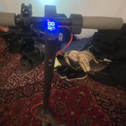 Volpam 350W Electric Scooter