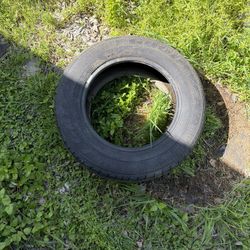 Tire 15   205/65