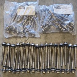 4" SnapNrack Umbrella Lag Screws