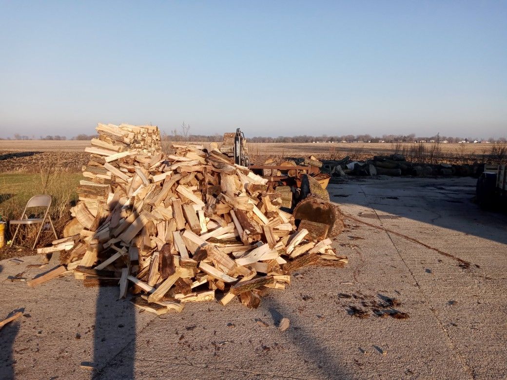 Firewood
