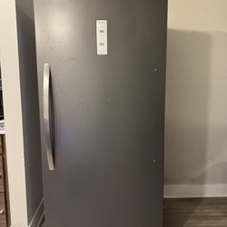 Frigidaire - 20.0 Cu. Ft. Garage Ready Upright Freezer - Carbon