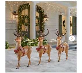 Home accents holiday 3-Pack LED Extra Reindeer