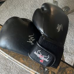 Women’s boxing gloves