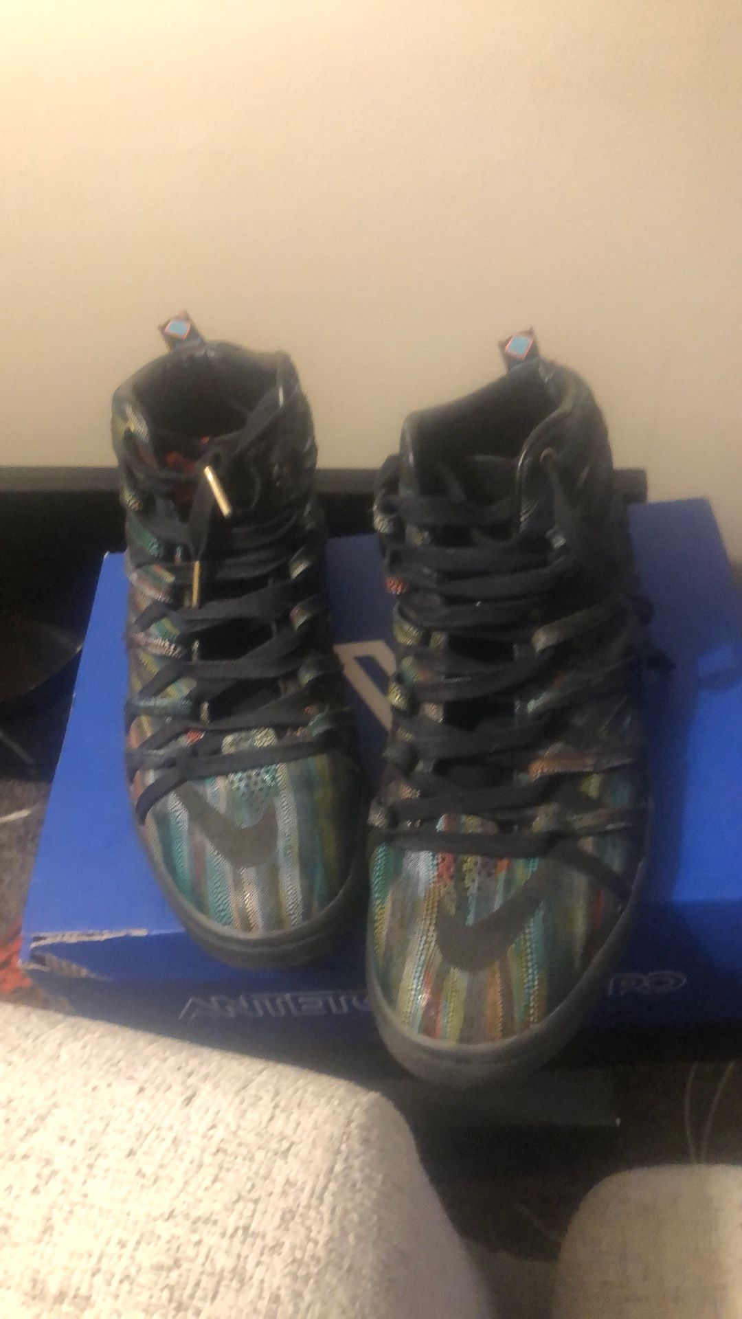 Kd7 Lifestyle Betta