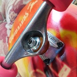 DJ Skate "Skate Bird"  Complete Skate Board 