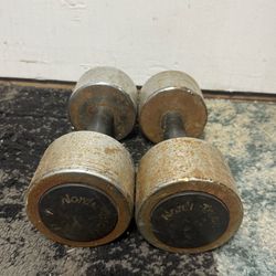 Dumbbell Set Steel 20lbs Each