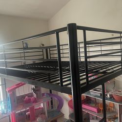 Loft Bed Full