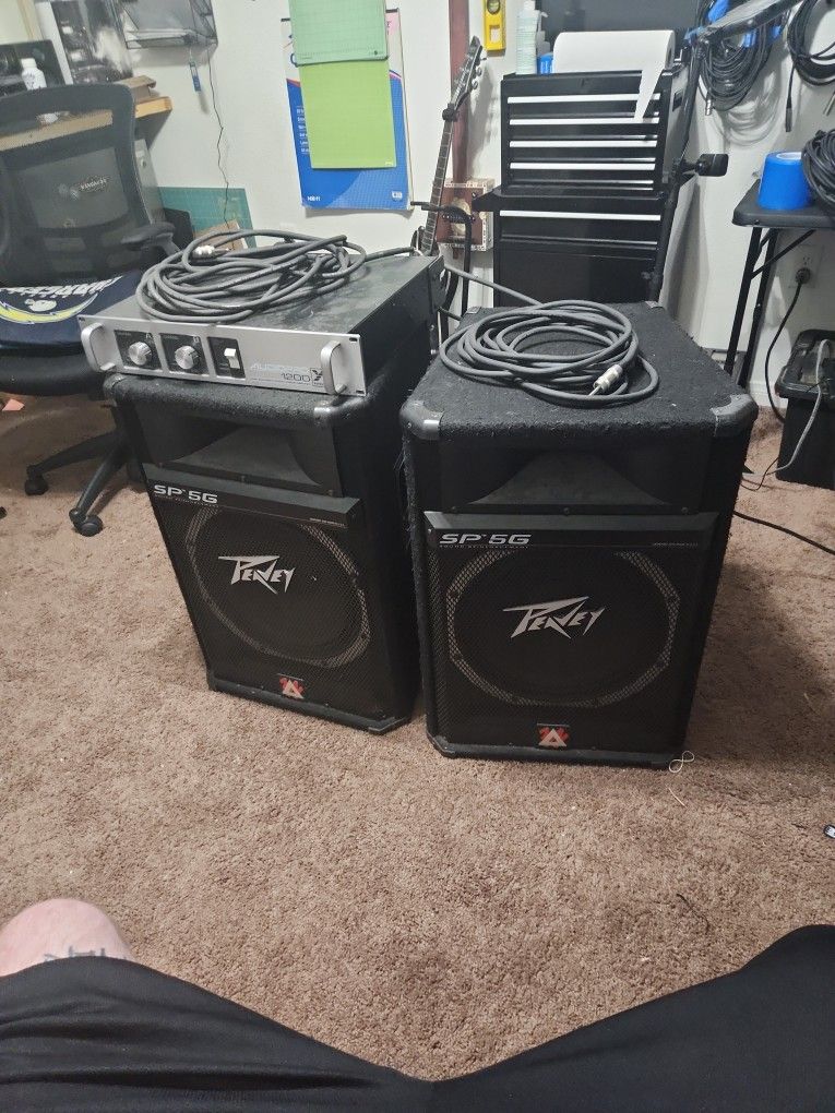 Peavey SP5G Passive Speakers