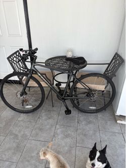 Trek FX2 bike