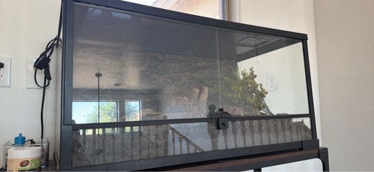 40 gallon Tank/terrarium
