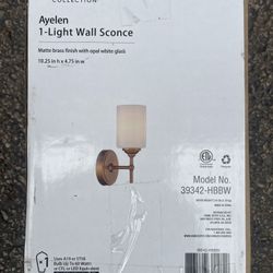 Ayelen 1-light Wall Scone 