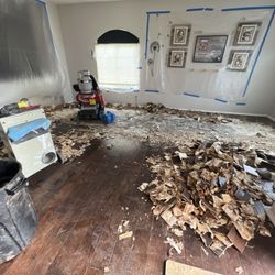 Floor Removal Wood Tile Carpet