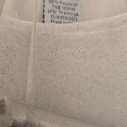 Girls Halloween Costume  25.00