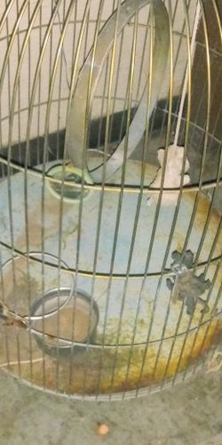 Metal Birdcage