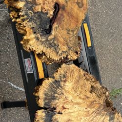 2 Pcs Buckeye Burl