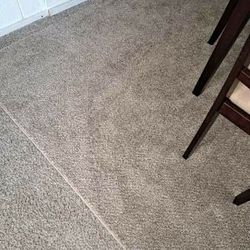 Carpet/Rug 8x10! Excellent Shape! Plush! 