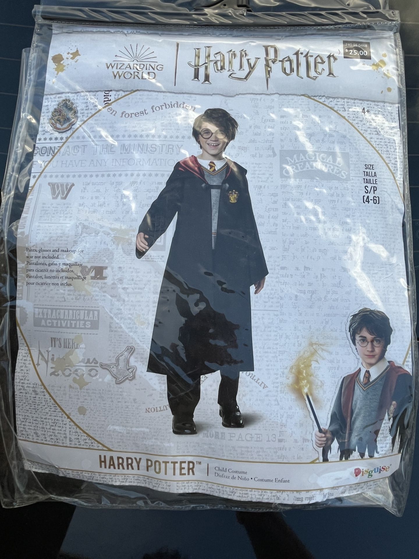 Harry Potter Family Costume 