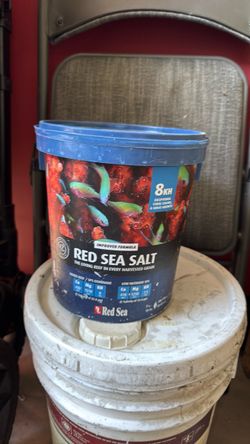 Red Sea salt aquarium