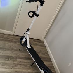 Adult Size Electric Scooter