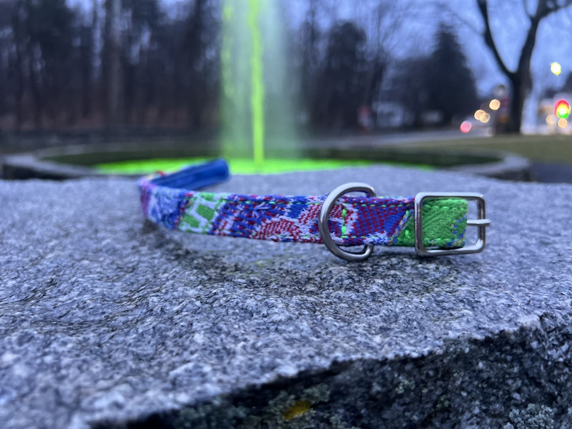 Coogi Dog Collar 