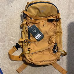 Osprey Sheldon 22 Snow Pack 