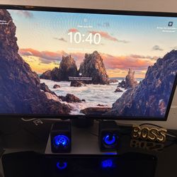 Computer Monitor With Speakers