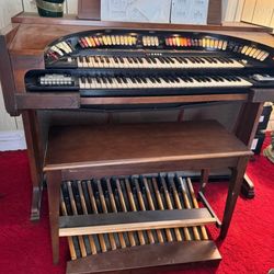 Organ