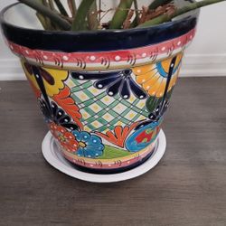 Talavera Pot With Plant