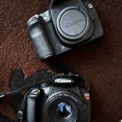 Just Have The Canon Rebel Available Now 