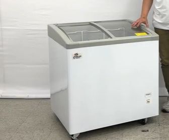 NSF 31 ins Ice Cream Glass Freezer 6.7 CU FT SD251S