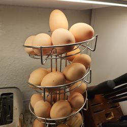 Organic Free Range Chicken Eggs (Price Per Dozen)