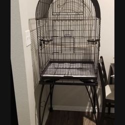 bird cage 
