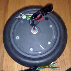 Scooter Motor