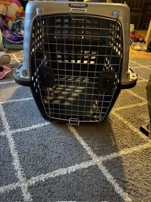 Dog Kennel